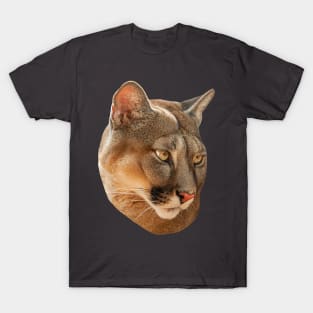 Cougar or mountain lion T-Shirt